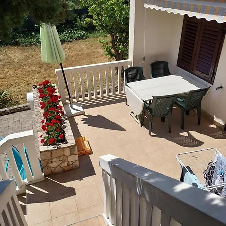 House * Betina